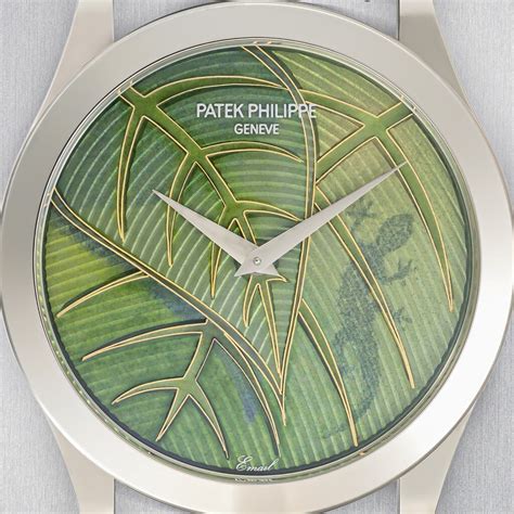 Patek Philippe Calatrava Tropical Forest 